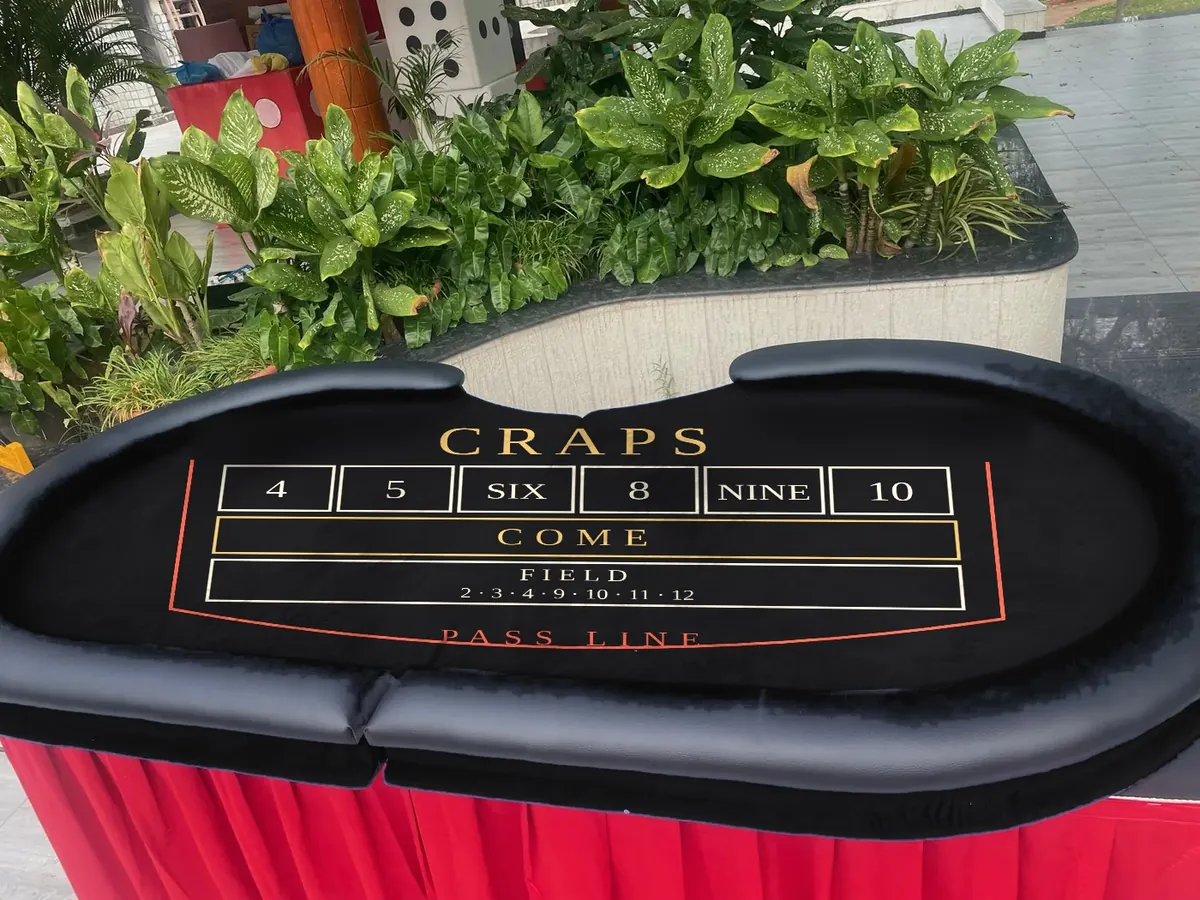 Craps felt design shown on a Baazigar table